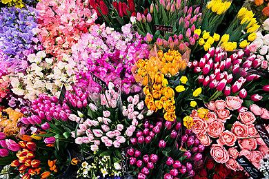 《主厨人生：餐厅模拟器》确定发售Switch和PS4版