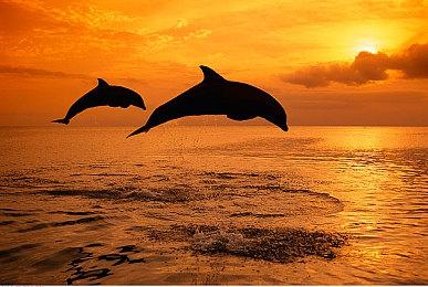 《细胞分裂：重制版》有望亮相6月育碧前瞻会活动